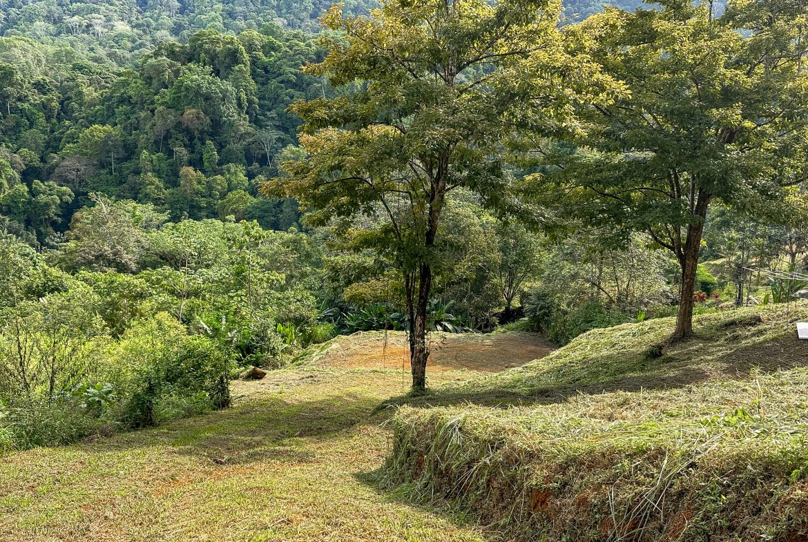 A RARE MOUNTAIN RETREAT WITH BUILDING SITES  , NICE VIEWS AND RIVER – 4.3 ACRES