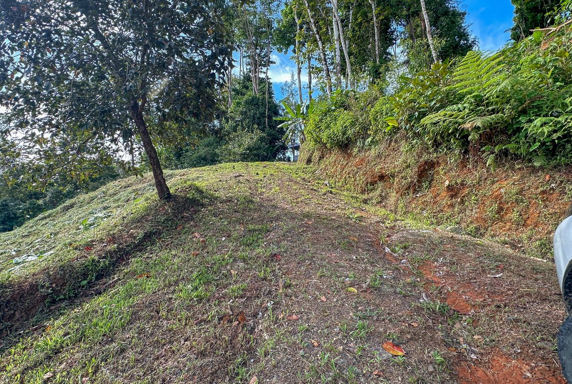 A RARE MOUNTAIN RETREAT WITH BUILDING SITES  , NICE VIEWS AND RIVER – 4.3 ACRES