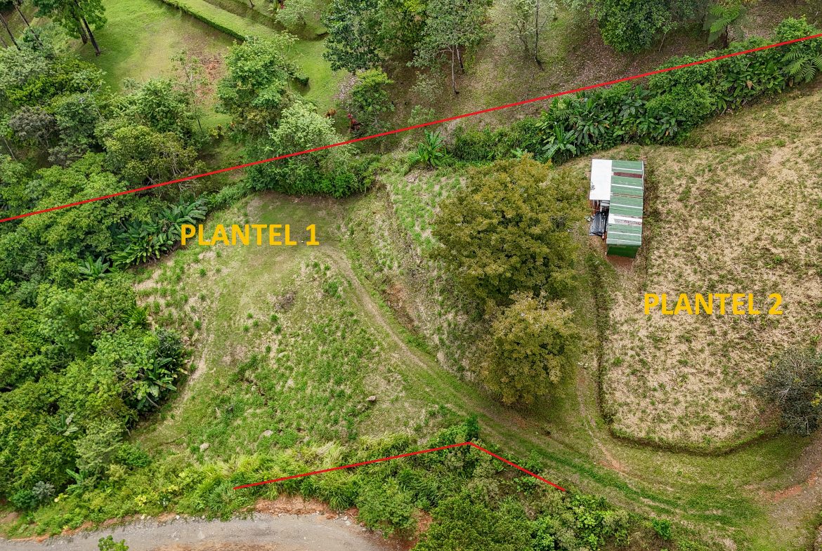 A RARE MOUNTAIN RETREAT WITH BUILDING SITES  , NICE VIEWS AND RIVER – 4.3 ACRES