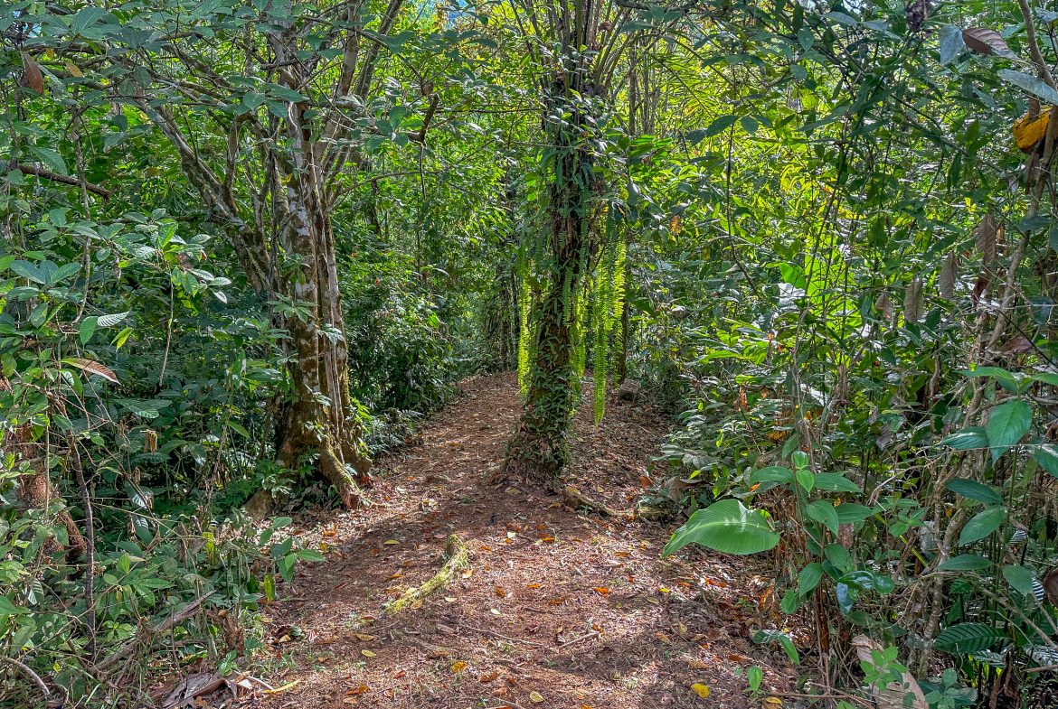 A RARE MOUNTAIN RETREAT WITH BUILDING SITES  , NICE VIEWS AND RIVER – 4.3 ACRES