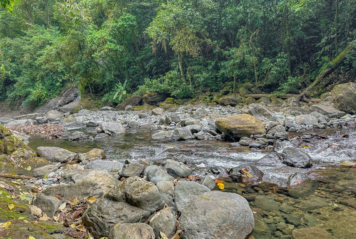 A RARE MOUNTAIN RETREAT WITH BUILDING SITES  , NICE VIEWS AND RIVER – 4.3 ACRES