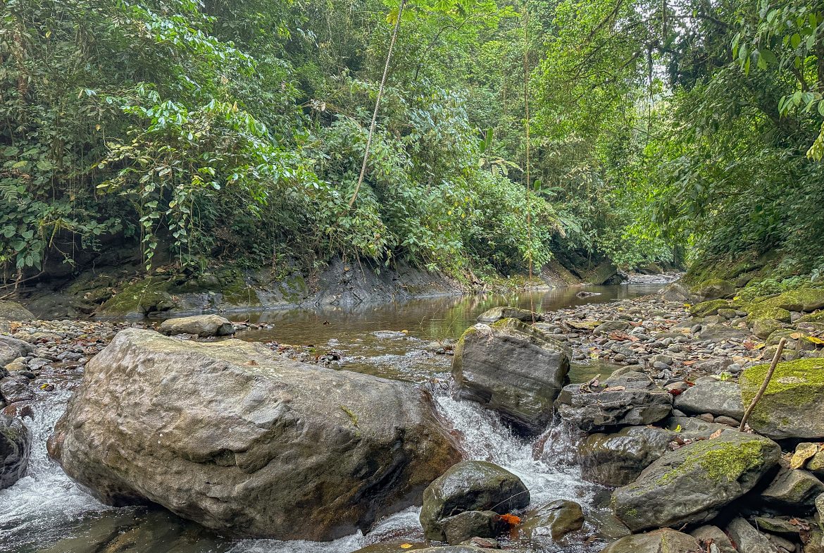 A RARE MOUNTAIN RETREAT WITH BUILDING SITES  , NICE VIEWS AND RIVER – 4.3 ACRES