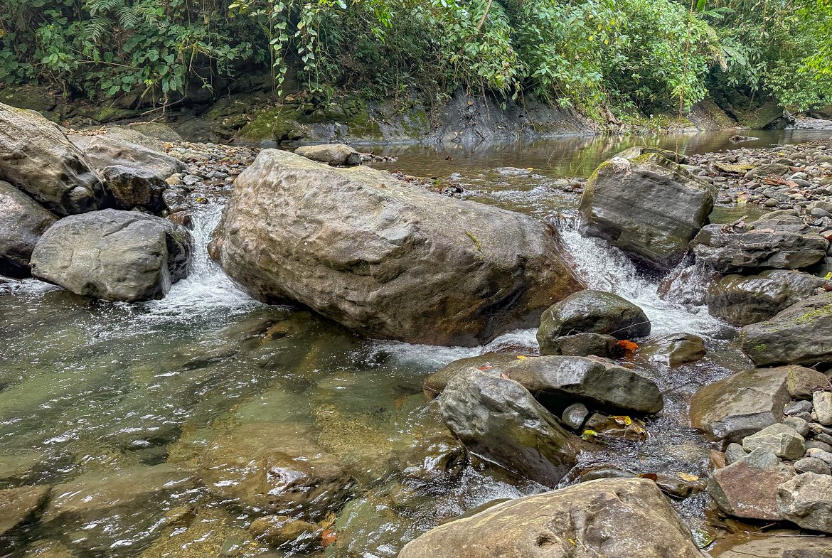A RARE MOUNTAIN RETREAT WITH BUILDING SITES  , NICE VIEWS AND RIVER – 4.3 ACRES