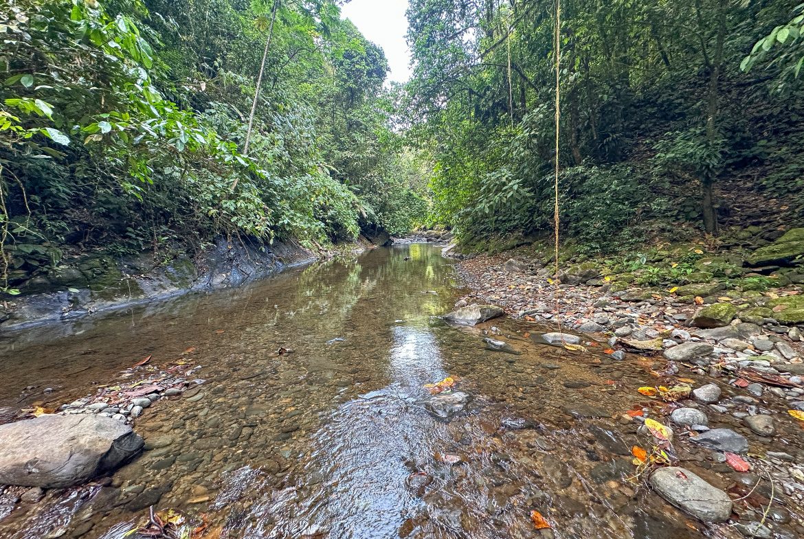 A RARE MOUNTAIN RETREAT WITH BUILDING SITES  , NICE VIEWS AND RIVER – 4.3 ACRES