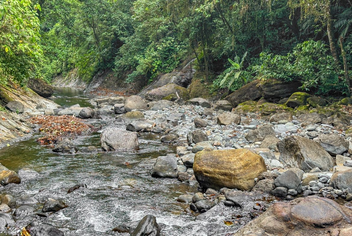 A RARE MOUNTAIN RETREAT WITH BUILDING SITES  , NICE VIEWS AND RIVER – 4.3 ACRES