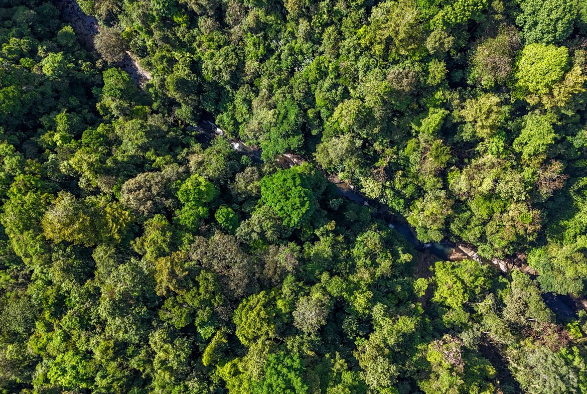 A RARE MOUNTAIN RETREAT WITH BUILDING SITES  , NICE VIEWS AND RIVER – 4.3 ACRES