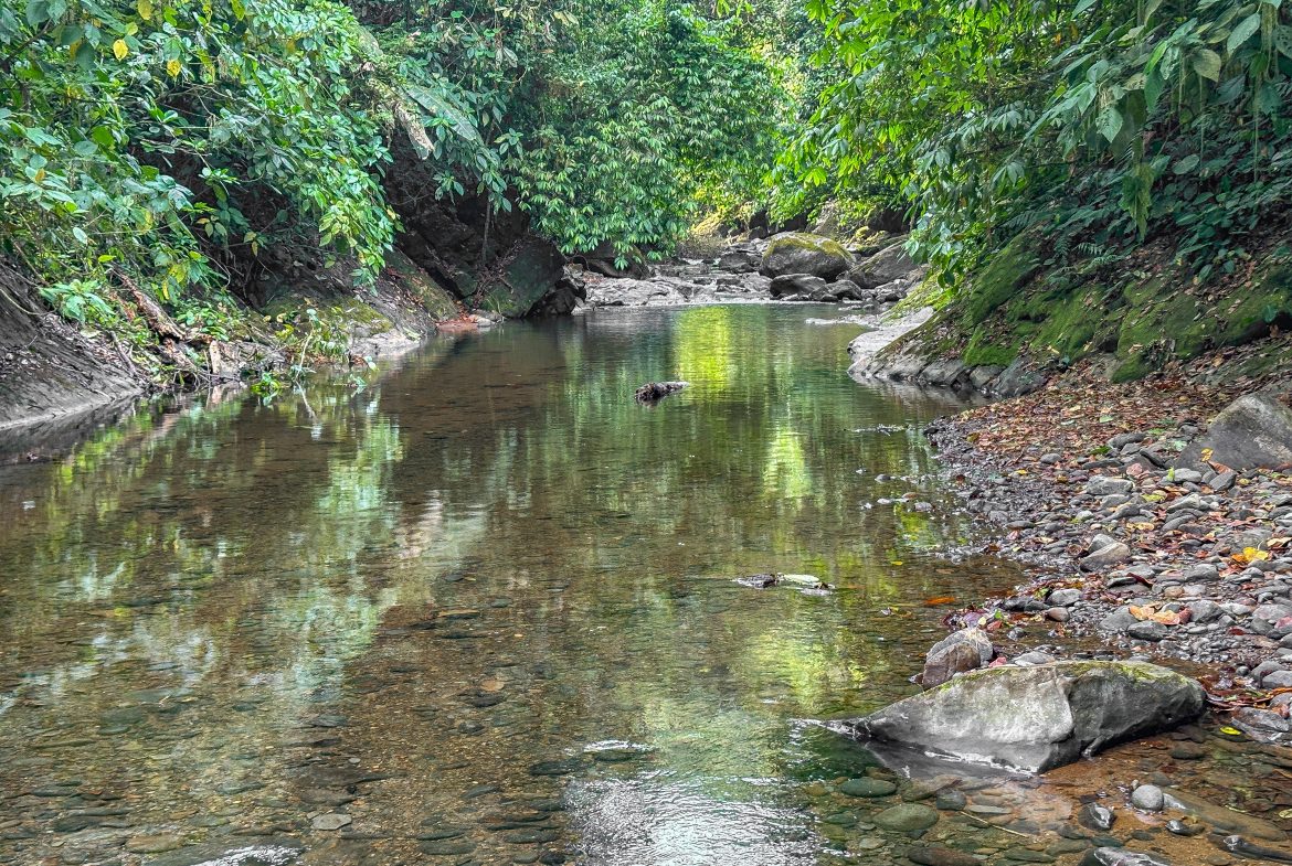 A RARE MOUNTAIN RETREAT WITH BUILDING SITES  , NICE VIEWS AND RIVER – 4.3 ACRES