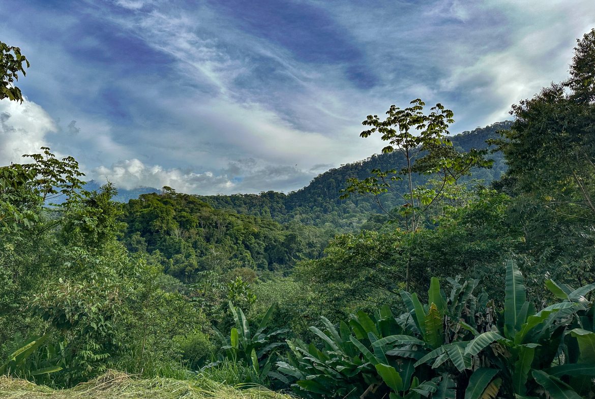 A RARE MOUNTAIN RETREAT WITH BUILDING SITES  , NICE VIEWS AND RIVER – 4.3 ACRES