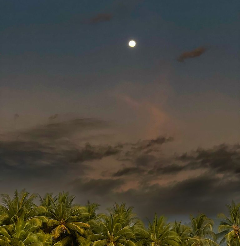 HOTEL AND RESTAURANT WALKING DISTANCE TO THE BEACH IN UVITA