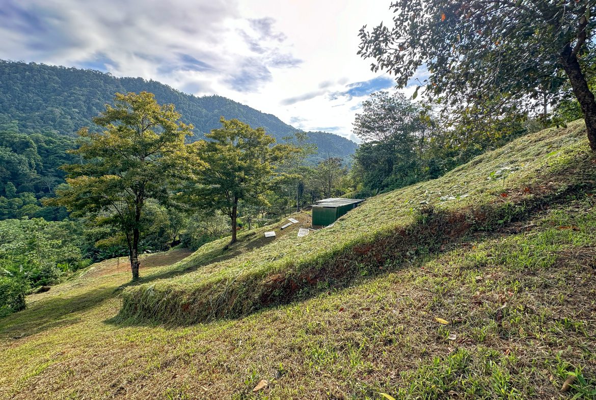 A RARE MOUNTAIN RETREAT WITH BUILDING SITES  , NICE VIEWS AND RIVER – 4.3 ACRES