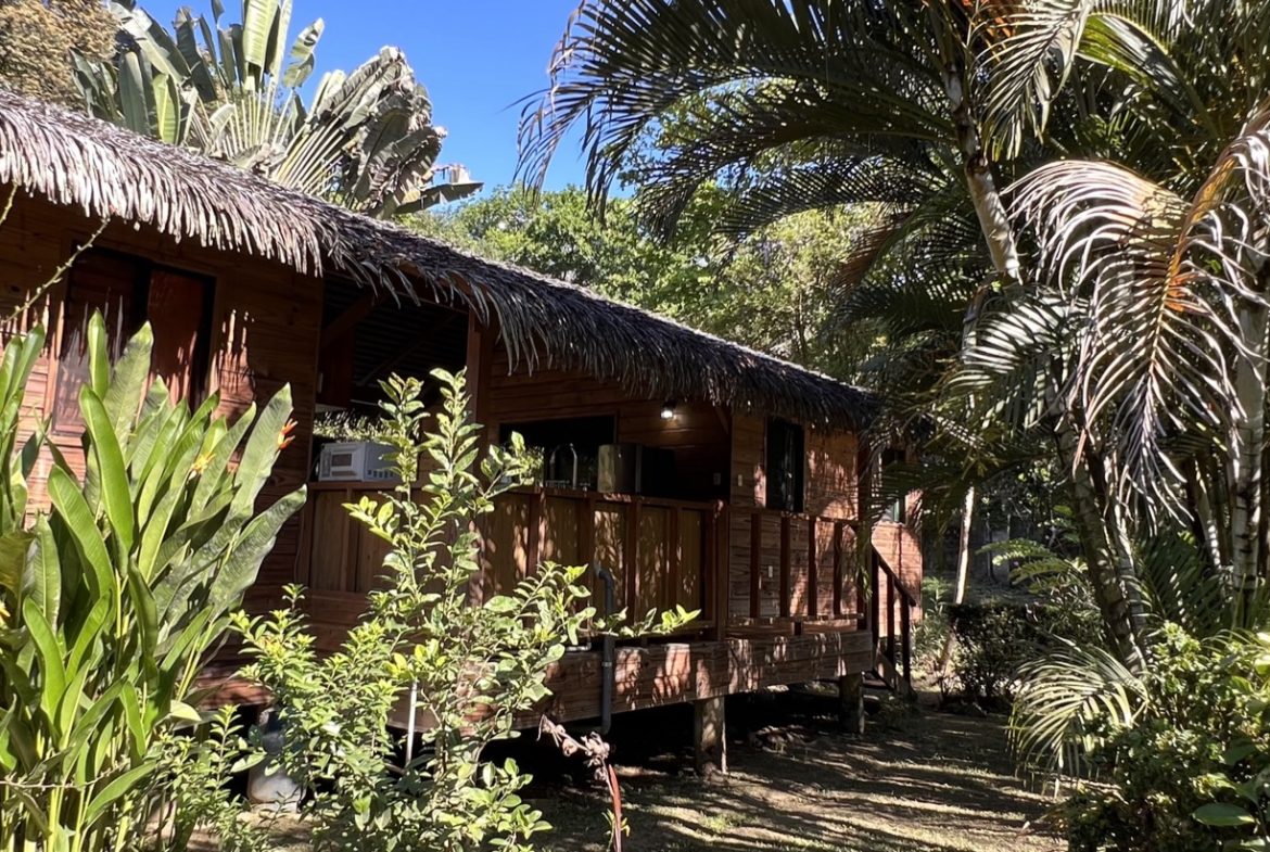 TROPICAL WOODEN STILT HOME IN OJOCHAL – RUSTIC CHARM & INVESTMENT POTENTIAL – 0.5 ACRES, Uvita, Costa Rica — photo 3