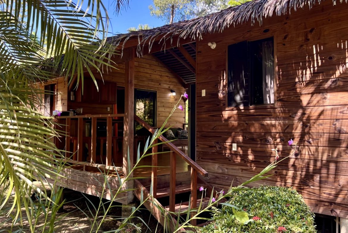 TROPICAL WOODEN STILT HOME IN OJOCHAL – RUSTIC CHARM & INVESTMENT POTENTIAL – 0.5 ACRES, Uvita, Costa Rica — photo 4
