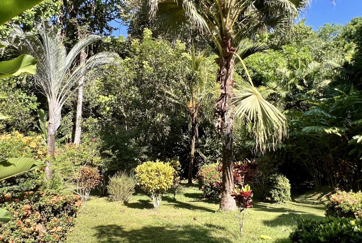 TROPICAL WOODEN STILT HOME IN OJOCHAL – RUSTIC CHARM & INVESTMENT POTENTIAL – 0.5 ACRES