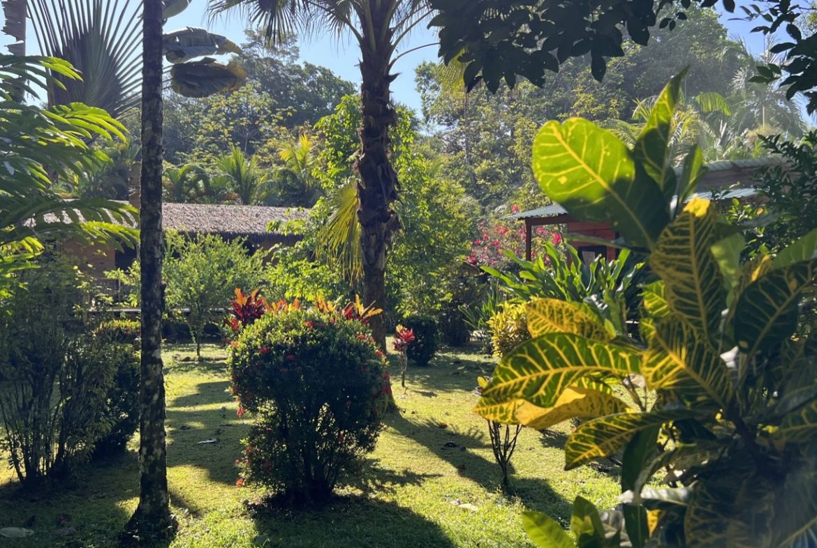 TROPICAL WOODEN STILT HOME IN OJOCHAL – RUSTIC CHARM & INVESTMENT POTENTIAL – 0.5 ACRES