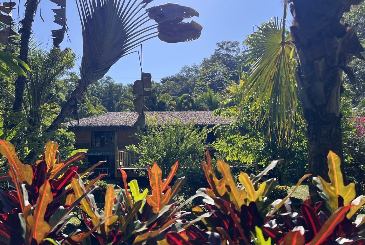 TROPICAL WOODEN STILT HOME IN OJOCHAL – RUSTIC CHARM & INVESTMENT POTENTIAL – 0.5 ACRES