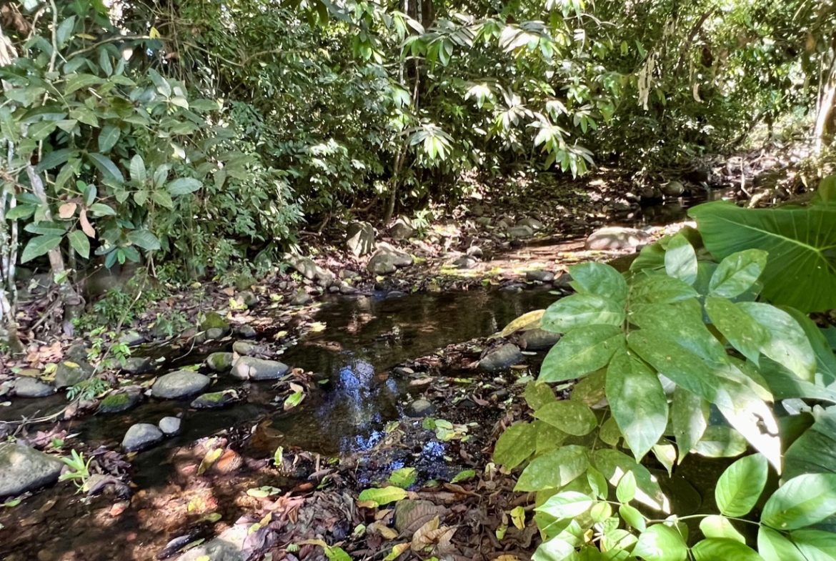 TROPICAL WOODEN STILT HOME IN OJOCHAL – RUSTIC CHARM & INVESTMENT POTENTIAL – 0.5 ACRES