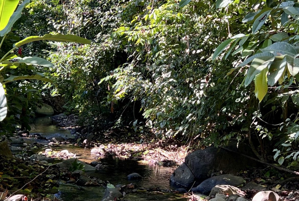 TROPICAL WOODEN STILT HOME IN OJOCHAL – RUSTIC CHARM & INVESTMENT POTENTIAL – 0.5 ACRES