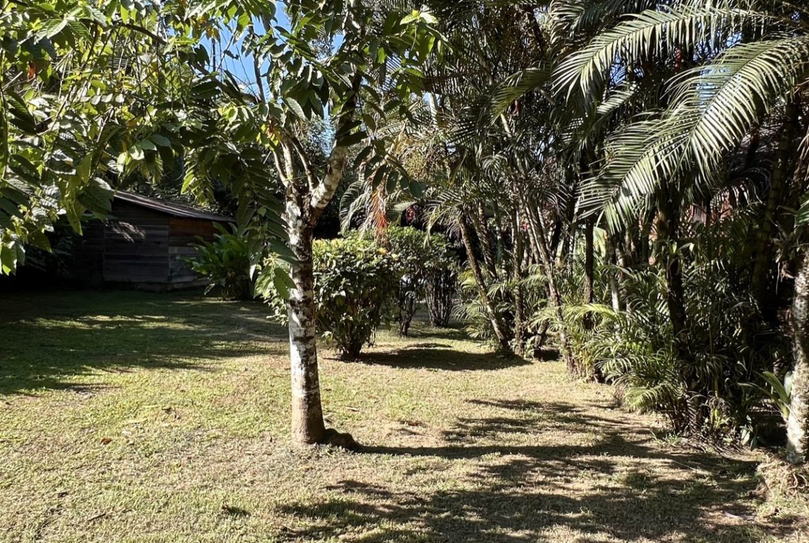 TROPICAL WOODEN STILT HOME IN OJOCHAL – RUSTIC CHARM & INVESTMENT POTENTIAL – 0.5 ACRES