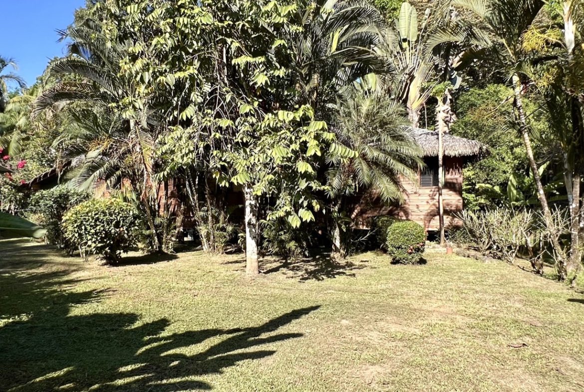 TROPICAL WOODEN STILT HOME IN OJOCHAL – RUSTIC CHARM & INVESTMENT POTENTIAL – 0.5 ACRES