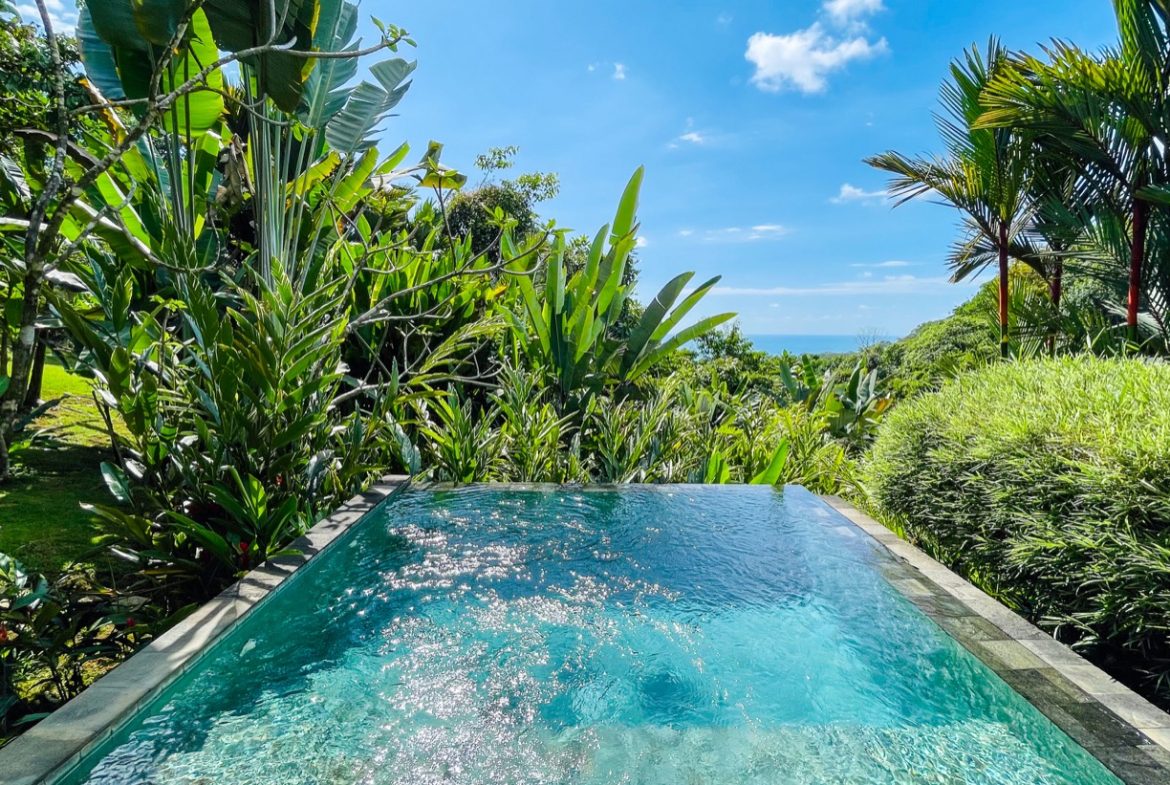 PROPERTY WITH OCEAN VIEW AND A GUEST HOUSE IN PIÑUELA -1.39 ACRES