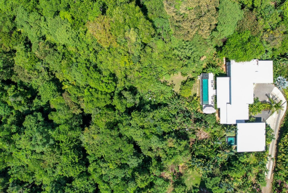 PROPERTY WITH OCEAN VIEW AND A GUEST HOUSE IN PIÑUELA -1.39 ACRES