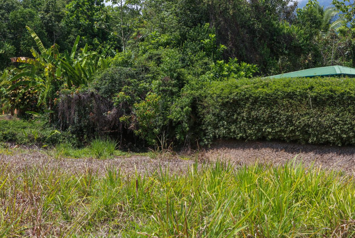 Ready to Build, Centrally located .38 acre Ojochal Lot with Mountain Views