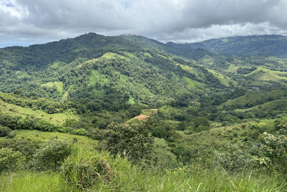 OCEAN & MOUNTAIN VIEW ESTATE WITH RIVER,CREEK, JUNGLE, PASTURE, AND DEVELOPMENT POTENTIAL NEAR DOMINICAL BEACH – 164.8-ACRE