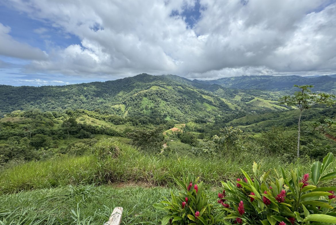 OCEAN & MOUNTAIN VIEW ESTATE WITH RIVER,CREEK, JUNGLE, PASTURE, AND DEVELOPMENT POTENTIAL NEAR DOMINICAL BEACH – 164.8-ACRE