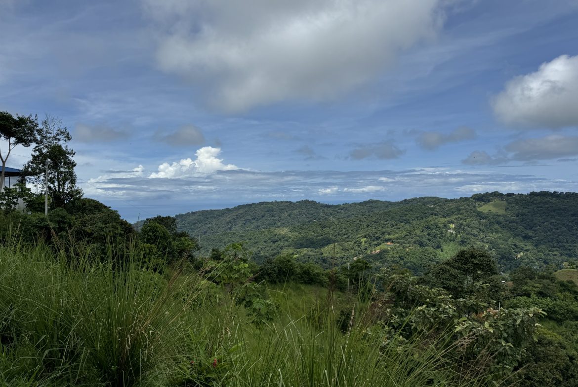 OCEAN & MOUNTAIN VIEW ESTATE WITH RIVER,CREEK, JUNGLE, PASTURE, AND DEVELOPMENT POTENTIAL NEAR DOMINICAL BEACH – 164.8-ACRE