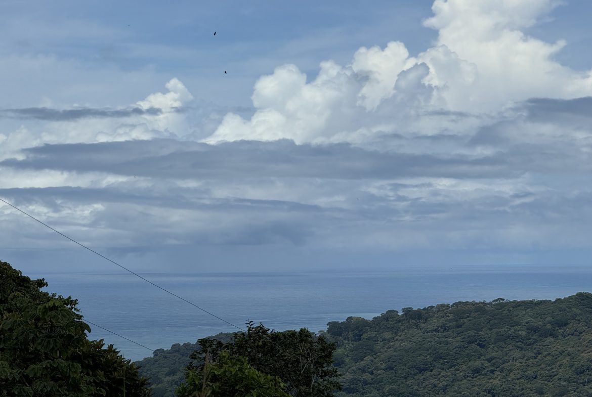 OCEAN & MOUNTAIN VIEW ESTATE WITH RIVER,CREEK, JUNGLE, PASTURE, AND DEVELOPMENT POTENTIAL NEAR DOMINICAL BEACH – 164.8-ACRE