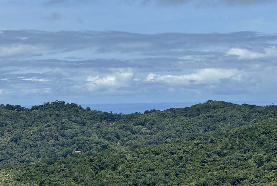 OCEAN & MOUNTAIN VIEW ESTATE WITH RIVER,CREEK, JUNGLE, PASTURE, AND DEVELOPMENT POTENTIAL NEAR DOMINICAL BEACH – 164.8-ACRE