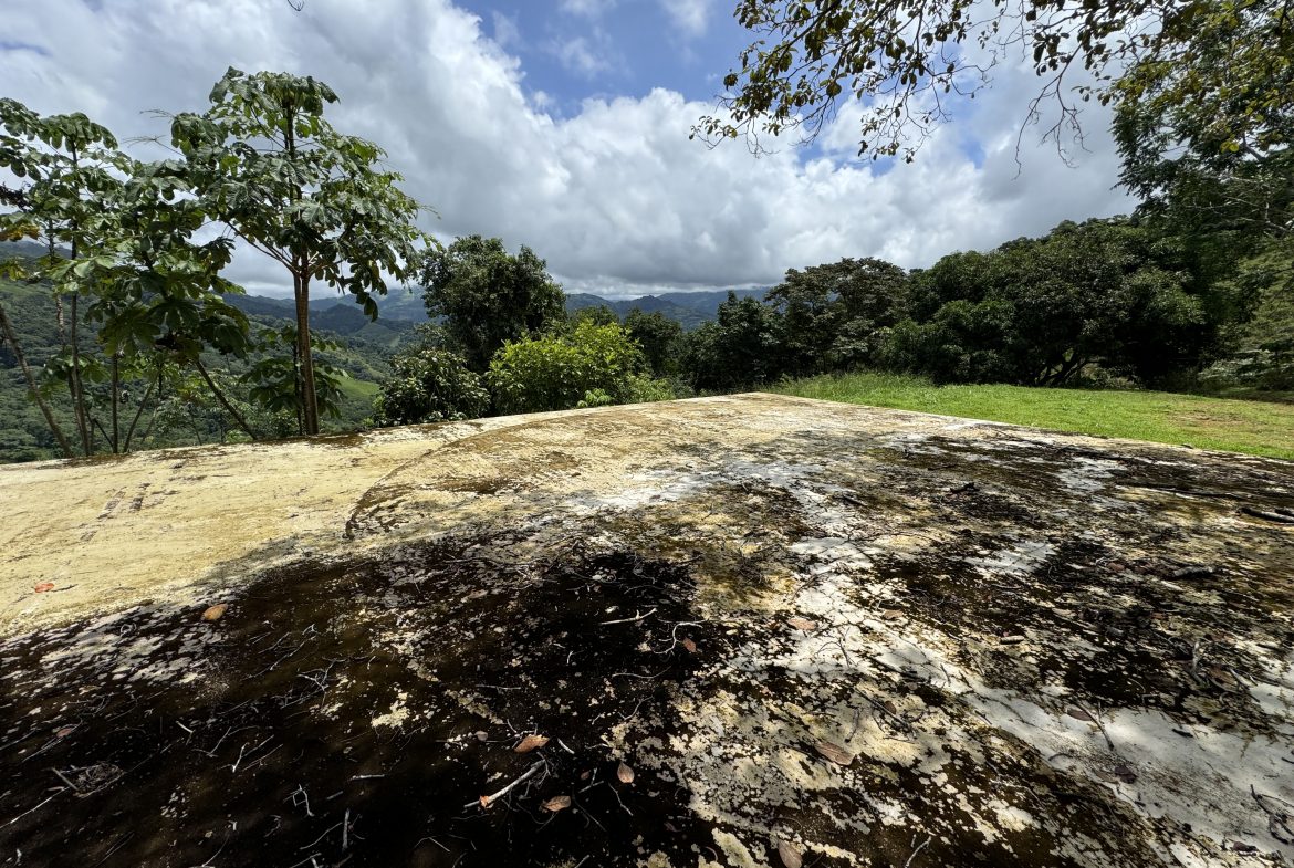 OCEAN & MOUNTAIN VIEW ESTATE WITH RIVER,CREEK, JUNGLE, PASTURE, AND DEVELOPMENT POTENTIAL NEAR DOMINICAL BEACH – 164.8-ACRE
