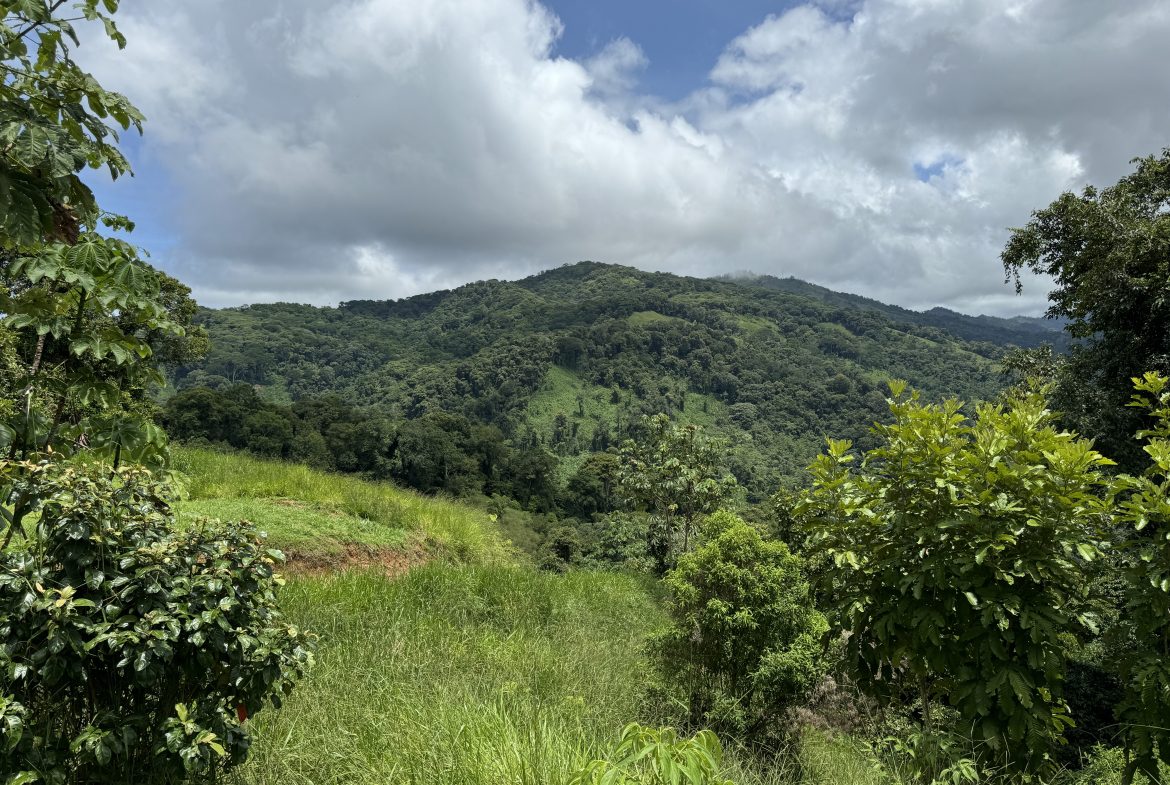 OCEAN & MOUNTAIN VIEW ESTATE WITH RIVER,CREEK, JUNGLE, PASTURE, AND DEVELOPMENT POTENTIAL NEAR DOMINICAL BEACH – 164.8-ACRE