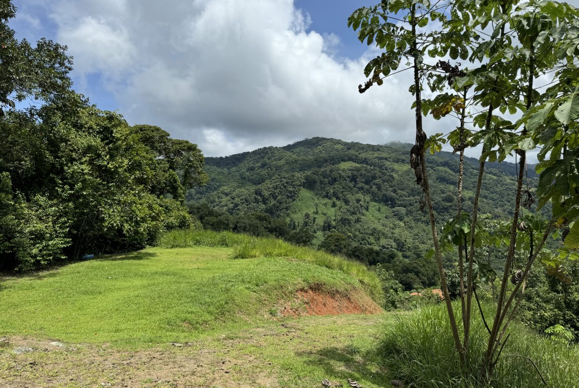 OCEAN & MOUNTAIN VIEW ESTATE WITH RIVER,CREEK, JUNGLE, PASTURE, AND DEVELOPMENT POTENTIAL NEAR DOMINICAL BEACH – 164.8-ACRE