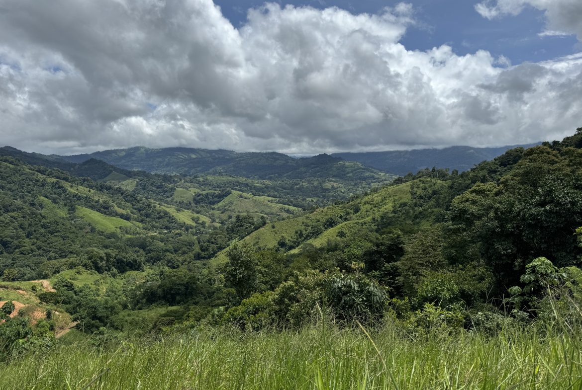 OCEAN & MOUNTAIN VIEW ESTATE WITH RIVER,CREEK, JUNGLE, PASTURE, AND DEVELOPMENT POTENTIAL NEAR DOMINICAL BEACH – 164.8-ACRE