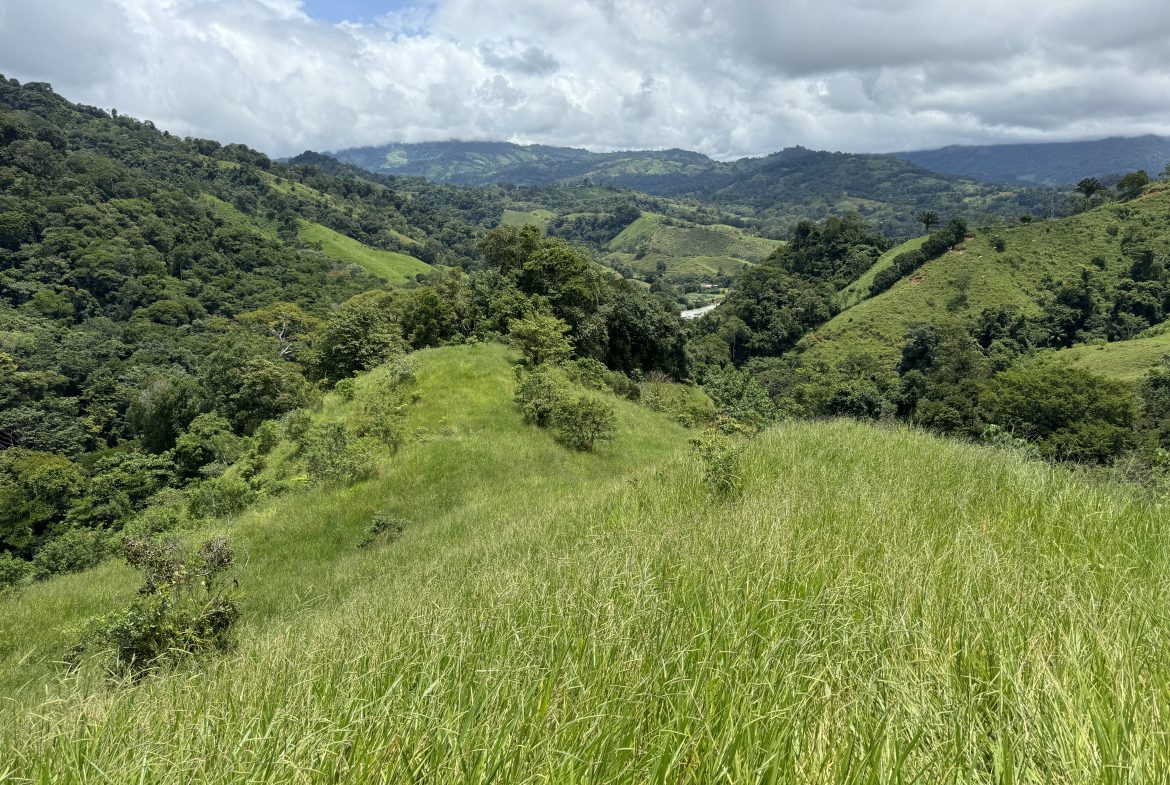 OCEAN & MOUNTAIN VIEW ESTATE WITH RIVER,CREEK, JUNGLE, PASTURE, AND DEVELOPMENT POTENTIAL NEAR DOMINICAL BEACH – 164.8-ACRE