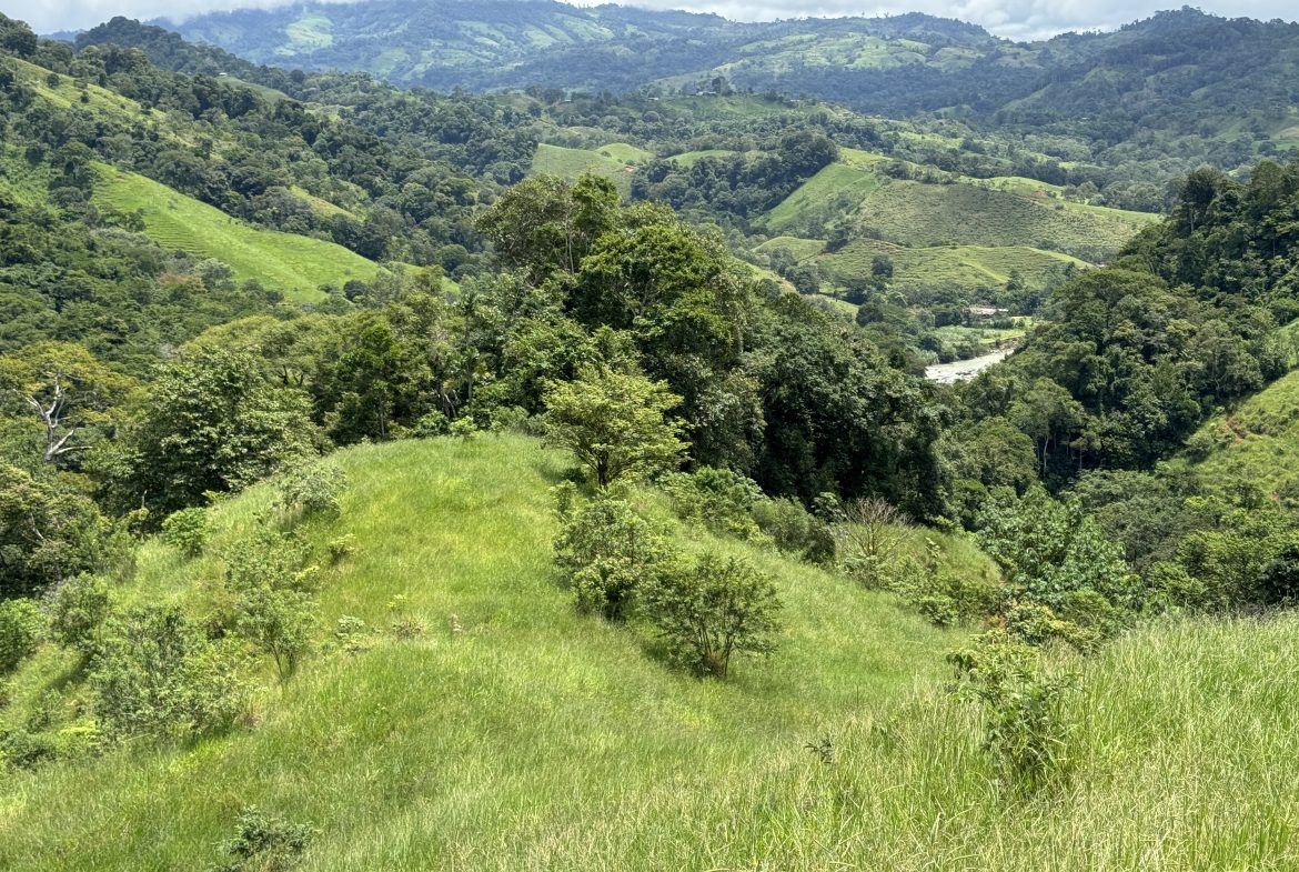 OCEAN & MOUNTAIN VIEW ESTATE WITH RIVER,CREEK, JUNGLE, PASTURE, AND DEVELOPMENT POTENTIAL NEAR DOMINICAL BEACH – 164.8-ACRE
