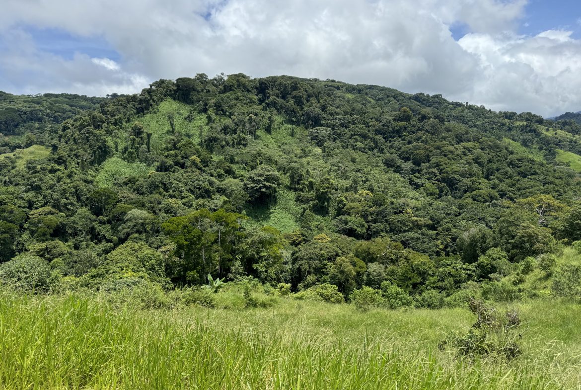 OCEAN & MOUNTAIN VIEW ESTATE WITH RIVER,CREEK, JUNGLE, PASTURE, AND DEVELOPMENT POTENTIAL NEAR DOMINICAL BEACH – 164.8-ACRE