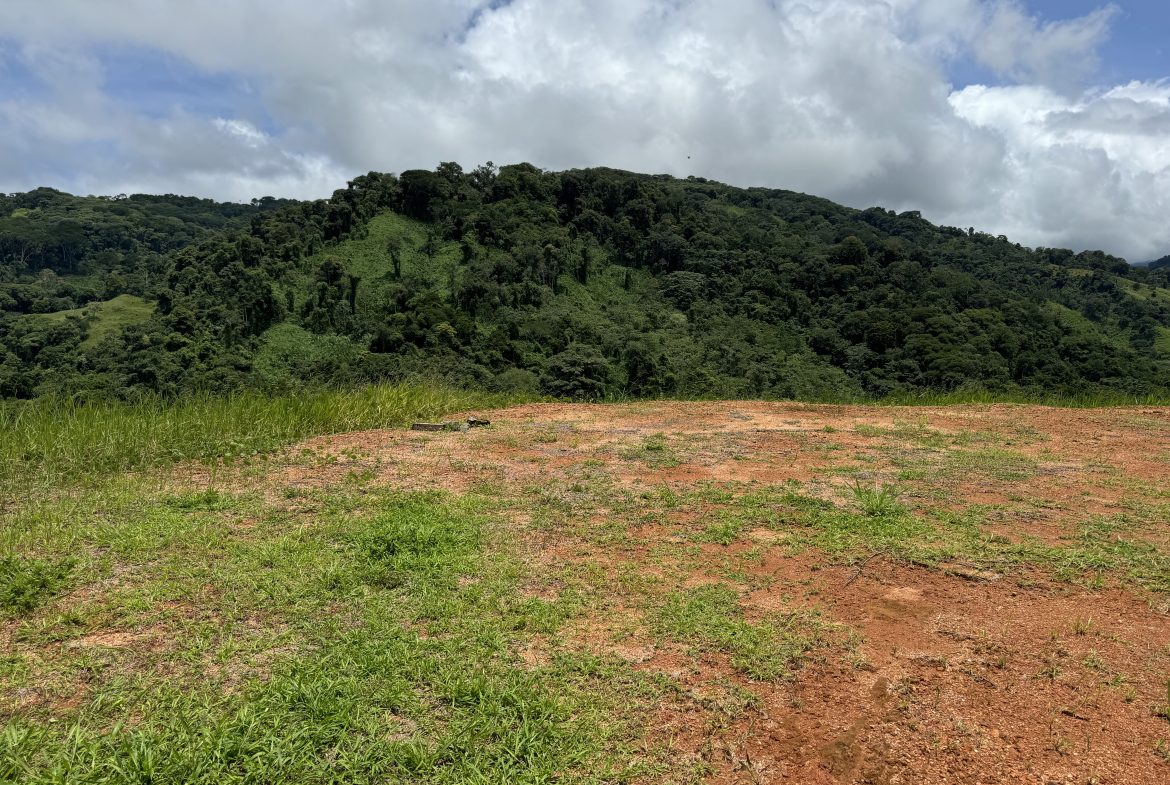 OCEAN & MOUNTAIN VIEW ESTATE WITH RIVER,CREEK, JUNGLE, PASTURE, AND DEVELOPMENT POTENTIAL NEAR DOMINICAL BEACH – 164.8-ACRE