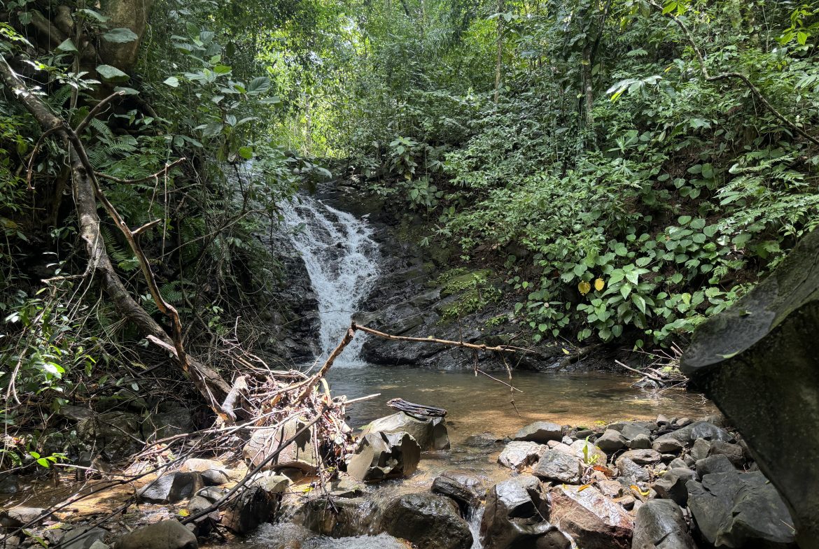 OCEAN & MOUNTAIN VIEW ESTATE WITH RIVER,CREEK, JUNGLE, PASTURE, AND DEVELOPMENT POTENTIAL NEAR DOMINICAL BEACH – 164.8-ACRE