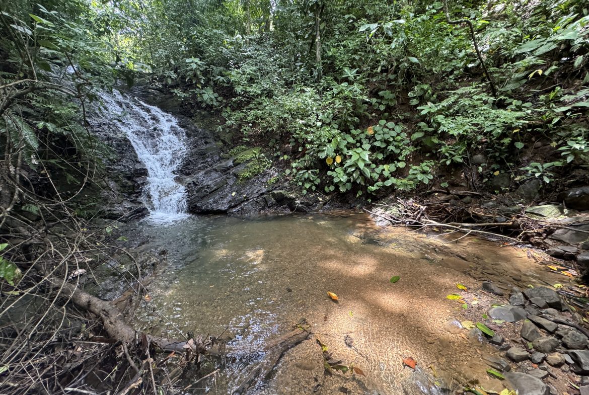 OCEAN & MOUNTAIN VIEW ESTATE WITH RIVER,CREEK, JUNGLE, PASTURE, AND DEVELOPMENT POTENTIAL NEAR DOMINICAL BEACH – 164.8-ACRE