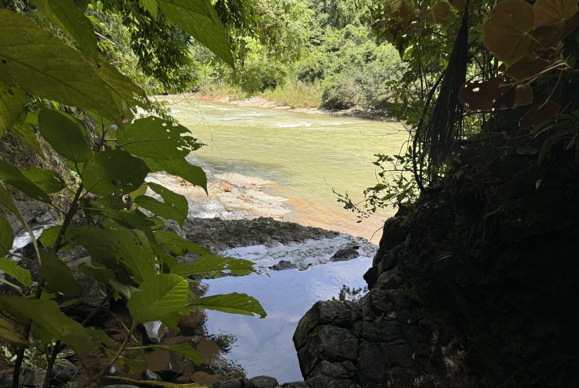 OCEAN & MOUNTAIN VIEW ESTATE WITH RIVER,CREEK, JUNGLE, PASTURE, AND DEVELOPMENT POTENTIAL NEAR DOMINICAL BEACH – 164.8-ACRE