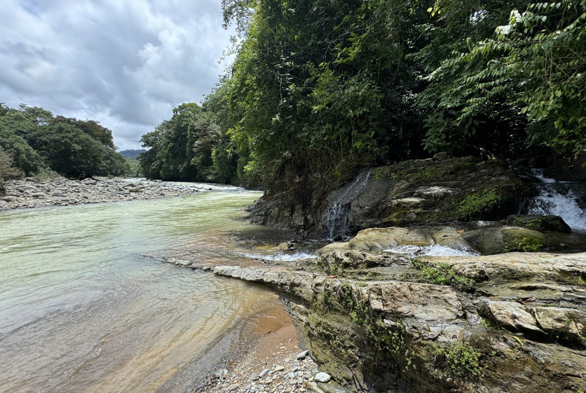 OCEAN & MOUNTAIN VIEW ESTATE WITH RIVER,CREEK, JUNGLE, PASTURE, AND DEVELOPMENT POTENTIAL NEAR DOMINICAL BEACH – 164.8-ACRE