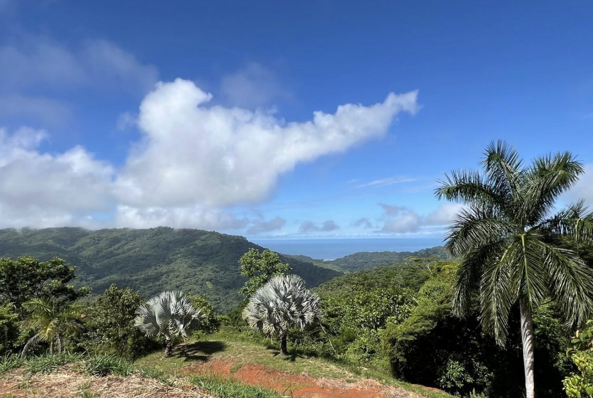 STUNNING MOUNTAIN HOME WITH OCEAN VIEWS IN GATED COMMUNITY – PRIVACY, LUXURY, AND EXPANSION POTENTIAL – 2 ACRES