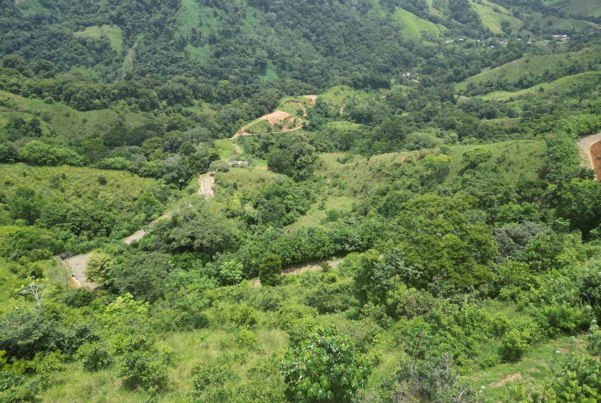 OCEAN & MOUNTAIN VIEW ESTATE WITH RIVER,CREEK, JUNGLE, PASTURE, AND DEVELOPMENT POTENTIAL NEAR DOMINICAL BEACH – 164.8-ACRE