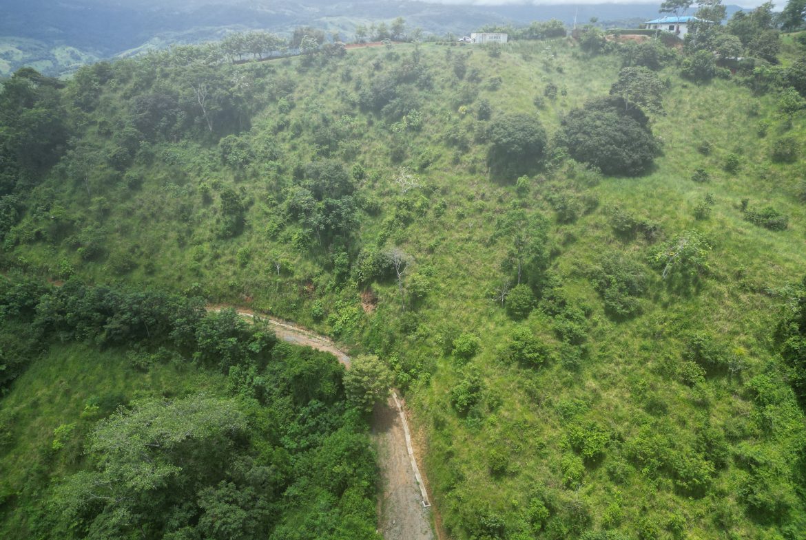 OCEAN & MOUNTAIN VIEW ESTATE WITH RIVER,CREEK, JUNGLE, PASTURE, AND DEVELOPMENT POTENTIAL NEAR DOMINICAL BEACH – 164.8-ACRE