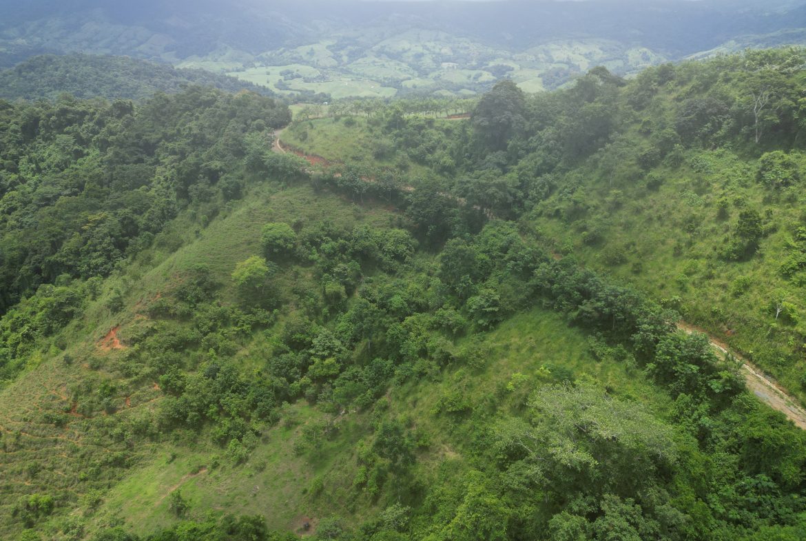 OCEAN & MOUNTAIN VIEW ESTATE WITH RIVER,CREEK, JUNGLE, PASTURE, AND DEVELOPMENT POTENTIAL NEAR DOMINICAL BEACH – 164.8-ACRE