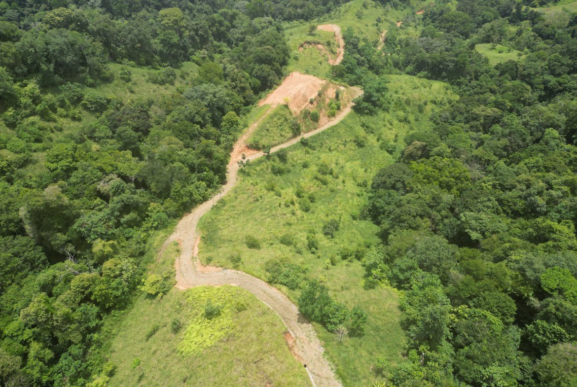 OCEAN & MOUNTAIN VIEW ESTATE WITH RIVER,CREEK, JUNGLE, PASTURE, AND DEVELOPMENT POTENTIAL NEAR DOMINICAL BEACH – 164.8-ACRE