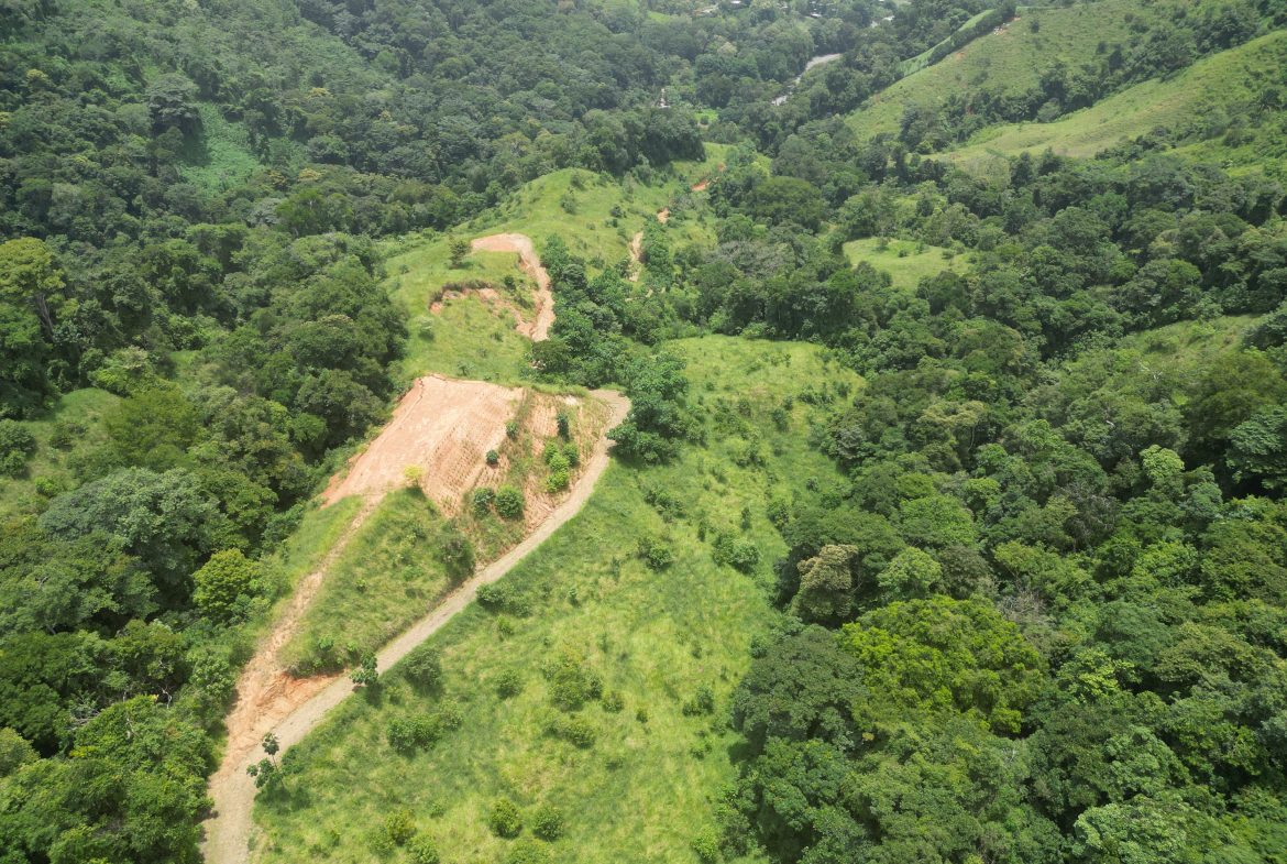 OCEAN & MOUNTAIN VIEW ESTATE WITH RIVER,CREEK, JUNGLE, PASTURE, AND DEVELOPMENT POTENTIAL NEAR DOMINICAL BEACH – 164.8-ACRE