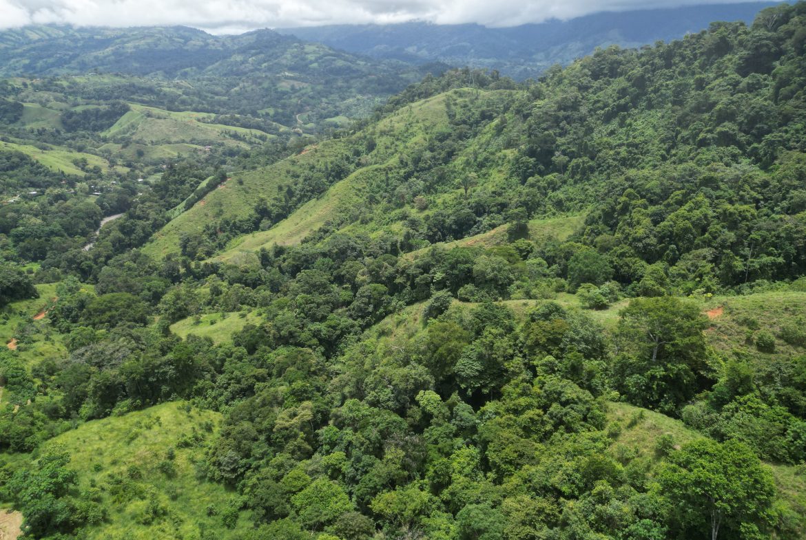 OCEAN & MOUNTAIN VIEW ESTATE WITH RIVER,CREEK, JUNGLE, PASTURE, AND DEVELOPMENT POTENTIAL NEAR DOMINICAL BEACH – 164.8-ACRE